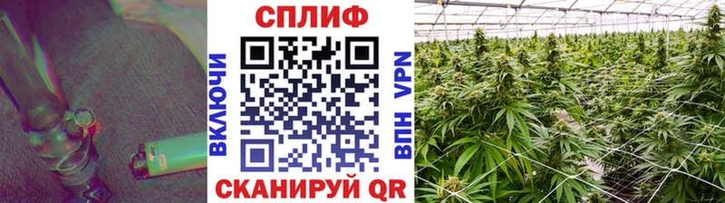 даркнет Telegram  где продают   Верещагино  Марихуана сатива 